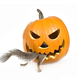 Illustration for article titled Watch Squirrel Faces Pucker When They Bite Into Your Vinegar-Spiked Jack-O-Lanterns
